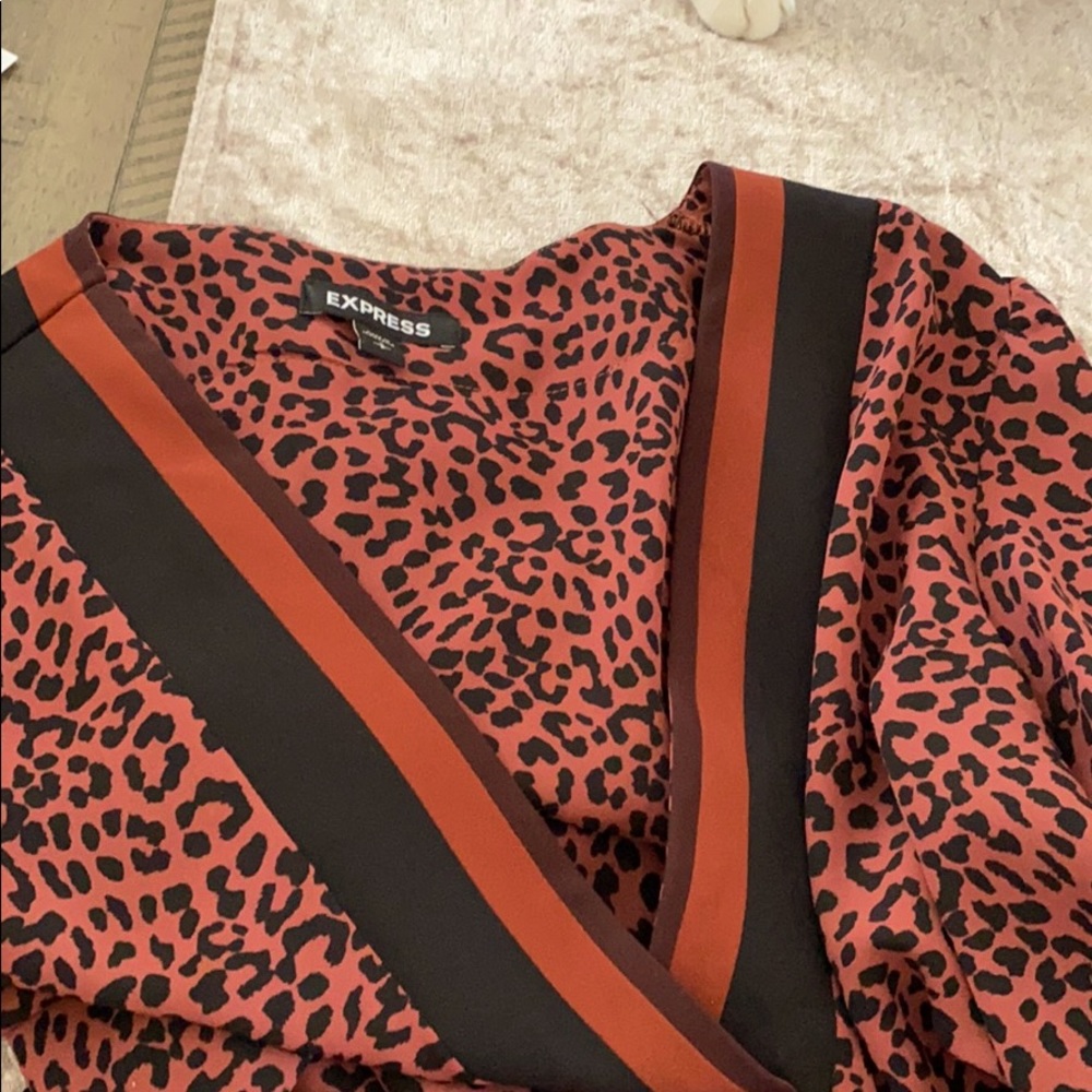 Express Elegant Vneck Shirt